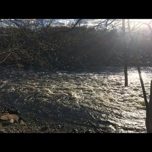 Meet your Posher, Benjahmin